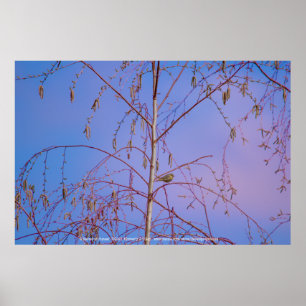 Poster Um Segredo ao Sunset