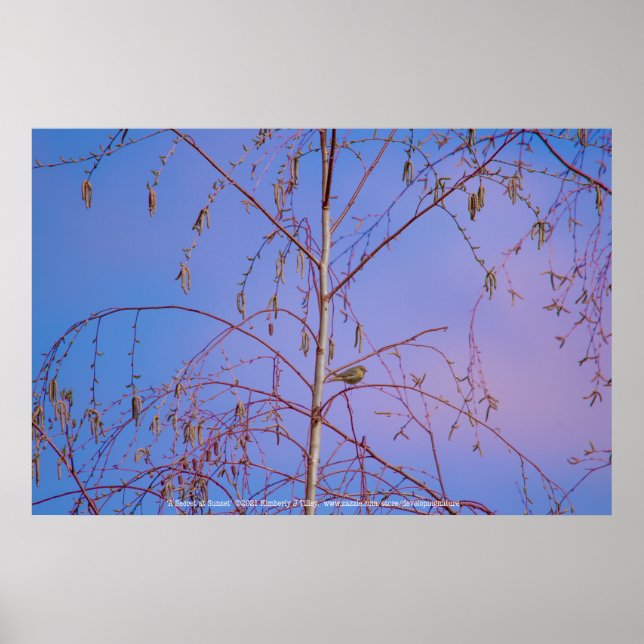 Poster Um Segredo ao Sunset (Frente)