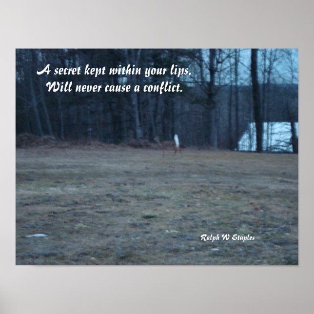 Póster Um segredo guardado (Frente)