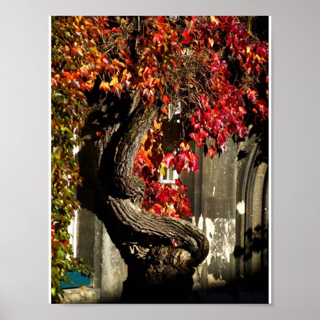 Poster Um Ser Antigo (Frente)