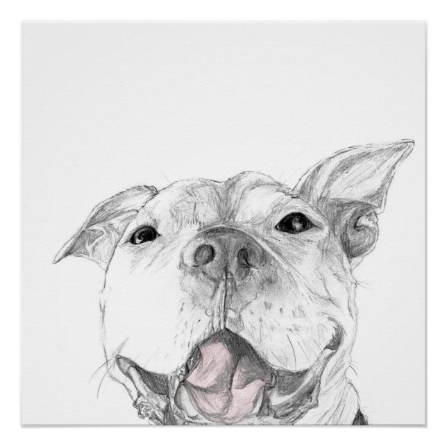 Póster Um Sorriso de Pit Bull (Frente)