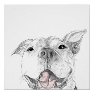 Póster Um sorriso do pitbull