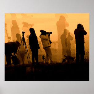 Poster Um Sunset Incrível - Fotografando Geese no Sunset