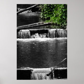 Póster Um toque de verde