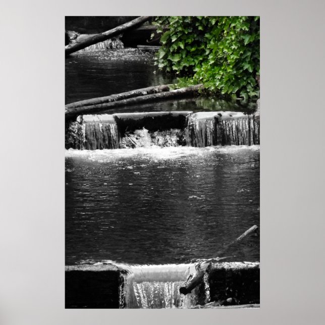 Póster Um toque de verde (Frente)