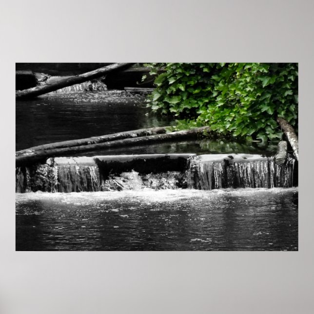 Póster Um toque de verde (Frente)