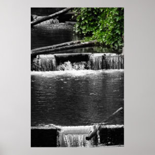 Póster Um toque do verde