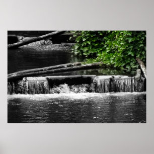 Póster Um toque do verde