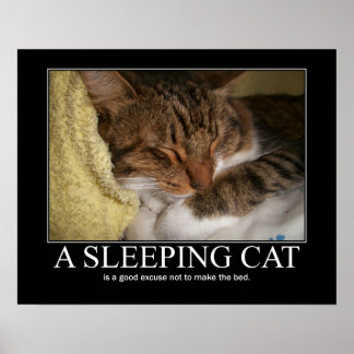 Póster Um Trabalho de arte de Gato Dormindo