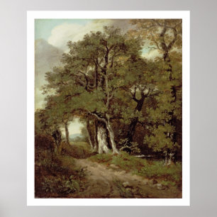 Póster Um trajeto arborizado