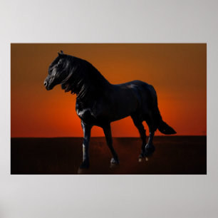 Poster Um traquinagem do por do sol dos cavalos