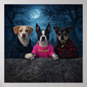 Poster "Um Triângulo Amoroso de Crepúsculo"
