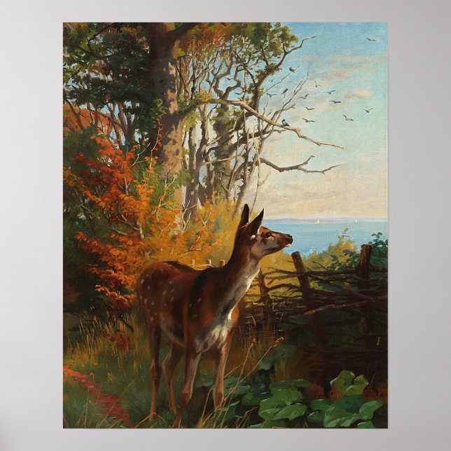 Poster Um Veado Bonito Na Floresta (Frente)