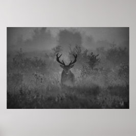 Poster Um Veado Na Cintura