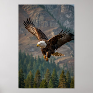 Poster Uma águia majestosa voa orgulhosamente num close-u