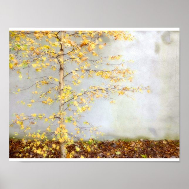 Poster Uma árvore (Frente)