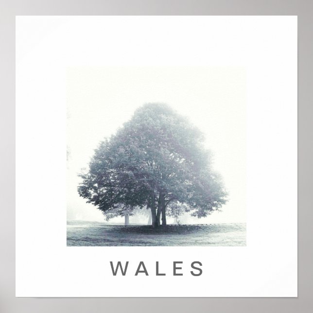 Póster Uma árvore no nevoeiro (Frente)