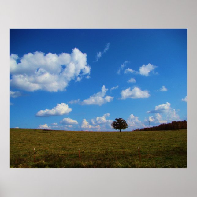 Póster Uma árvore solitário (Frente)