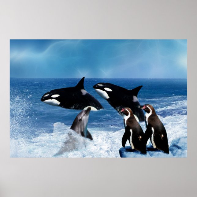 Póster Uma baleia de um mundo (Frente)