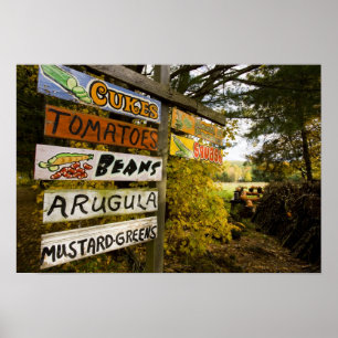 Póster Uma barraca de fazenda em Holderness, New Hampshir