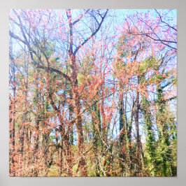 Poster Uma bela cena florestal em primavera