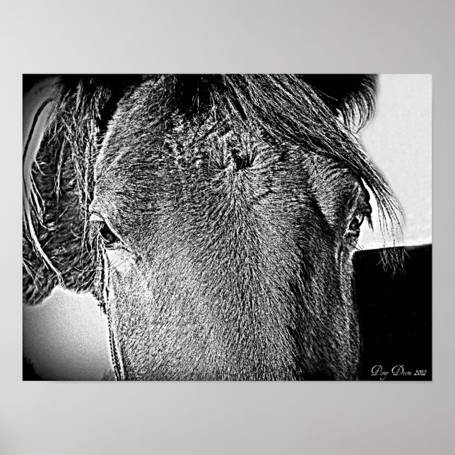 Poster Uma bela visão (Frente)