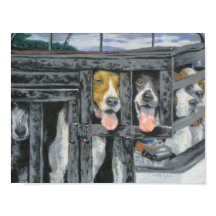 "Uma Caça Que Iremos"