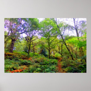 POSTER UMA CAMINHADA DA FLORESTA