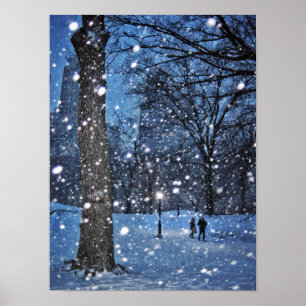 Poster Uma caminhada do Nighttime através da neve do