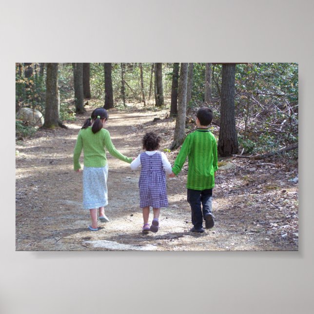 Póster Uma caminhada na floresta (Frente)