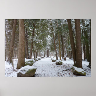 Poster Uma caminhada na floresta