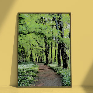 Póster Uma caminhada na floresta