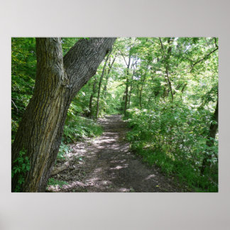 Poster Uma caminhada na floresta