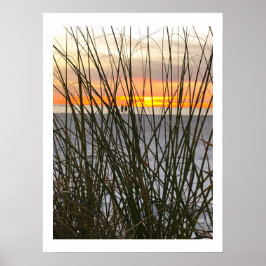 Poster Uma Caminhada Na Praia