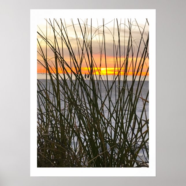 Poster Uma Caminhada Na Praia (Frente)