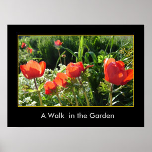 Poster Uma caminhada no jardim