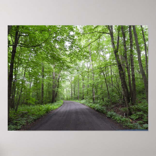 Poster Uma caminhada pacífica em bosques (Frente)