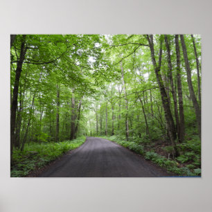 Poster Uma Caminhada Pacífica em Florestas