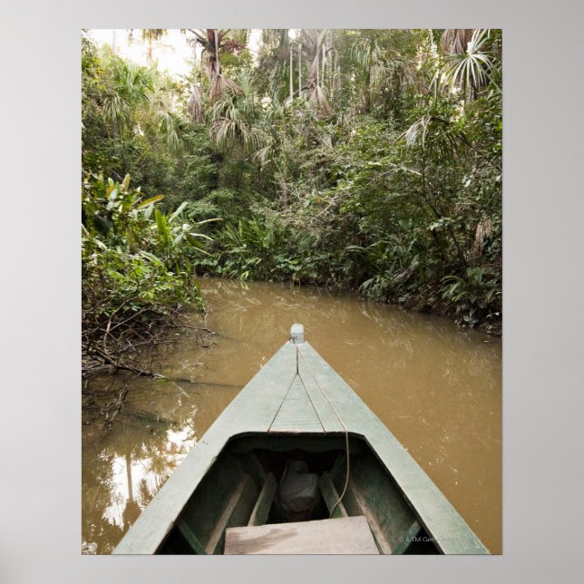 Poster Uma canoa de madeira feita de Eucylptus flutua em  (Frente)