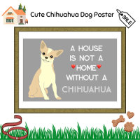 Uma Casa Não É Uma Casa Cachorro Chihuahua