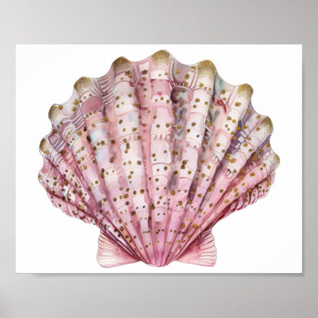 Poster Uma concha de invertebrado rosa (Frente)