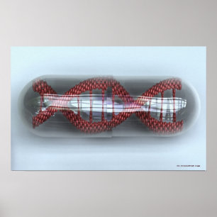 Póster Uma costa do ADN em uma cápsula