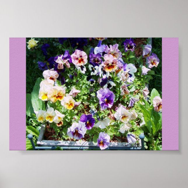 PÓSTER UMA ESPALHA DE COR (Frente)