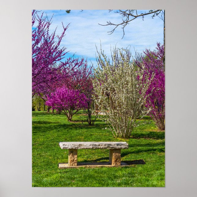 Poster Uma estação de Primavera (Frente)