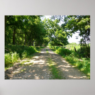 Poster Uma Estrada Menos Viajada