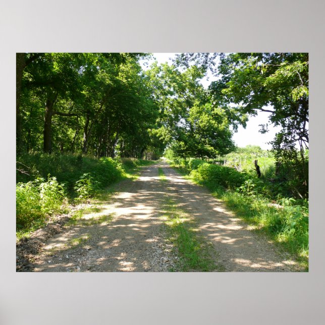 Poster Uma Estrada Menos Viajada (Frente)