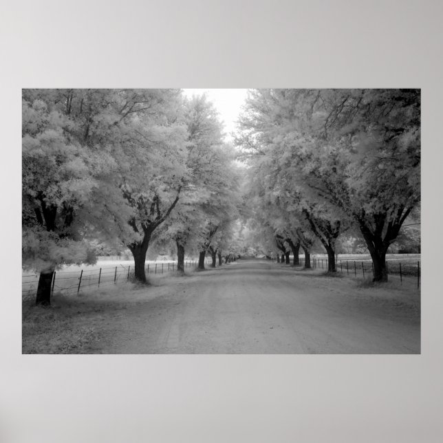 Póster Uma estrada rural (Frente)