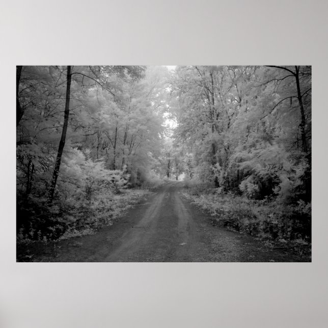 Póster Uma estrada rural (Frente)