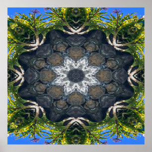 Poster Uma estrela no lago.....