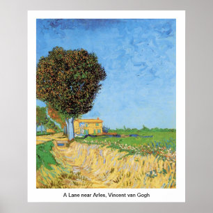 Póster Uma faixa perto de Arles, Vincent van Gogh.